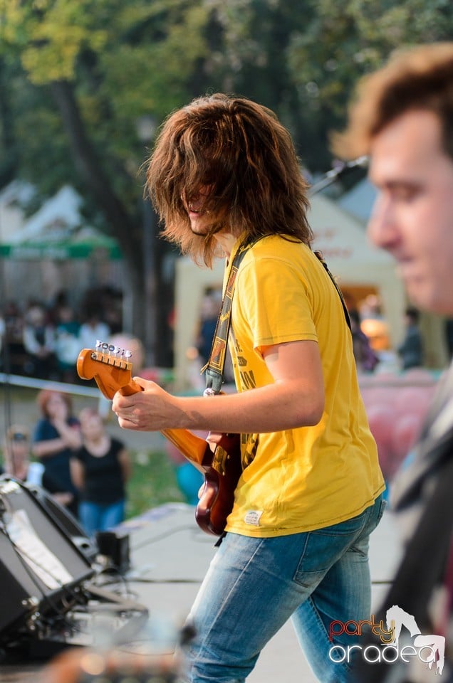 Concert Grup Viere si Anysound, Oradea