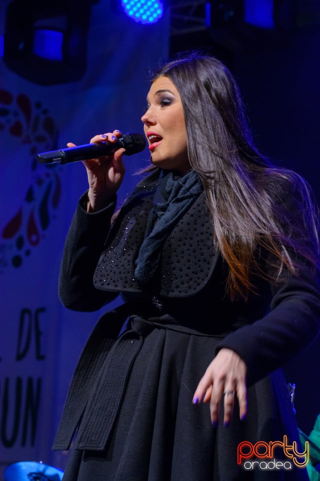 Concert Paula Seling, Oradea