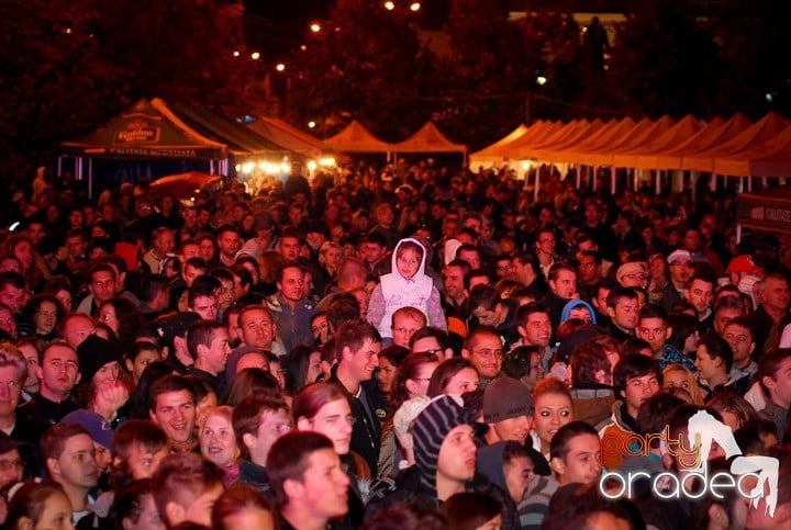 Concert Zdob şi Zdub, 