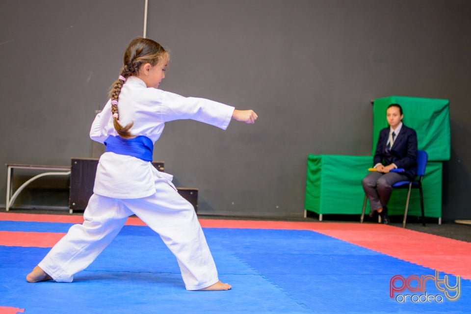 Concurs de Karate, Era Shopping Park