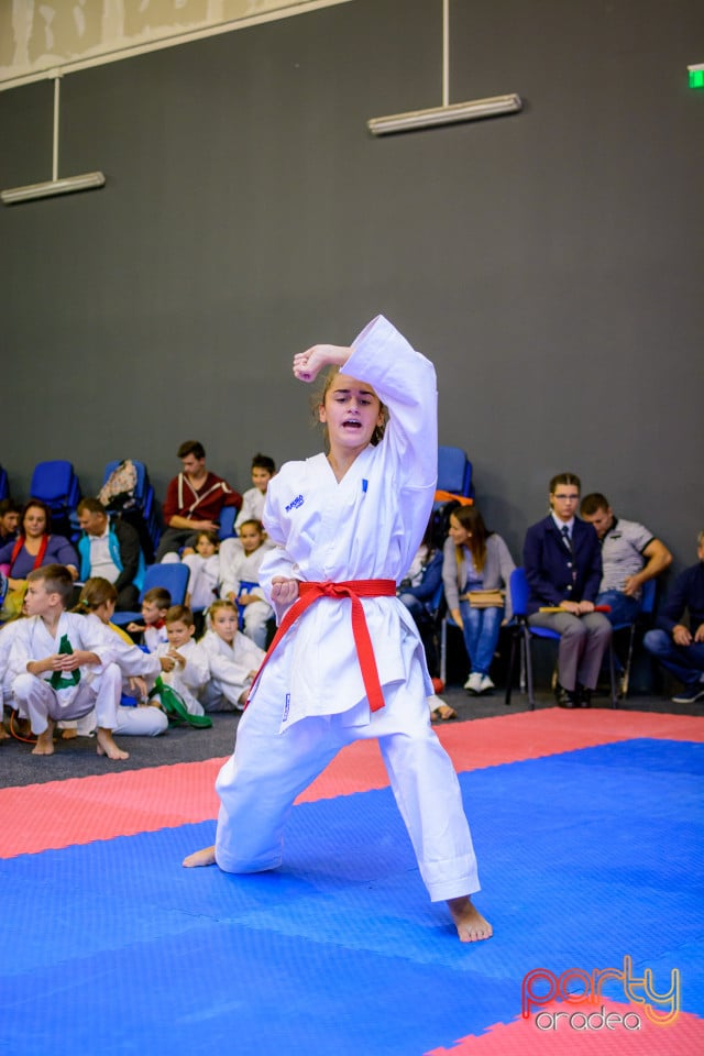 Concurs de Karate, Era Shopping Park