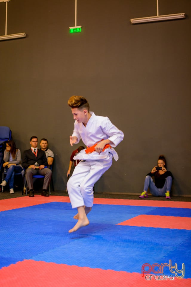 Concurs de Karate, Era Shopping Park