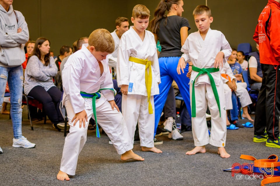 Concurs de Karate, Era Shopping Park