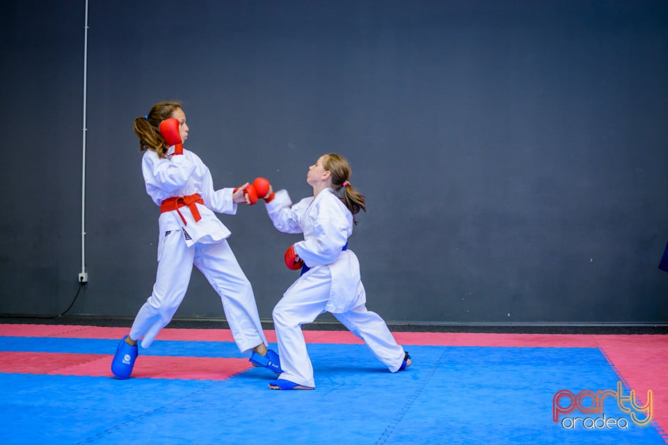 Concurs de Karate, Era Shopping Park