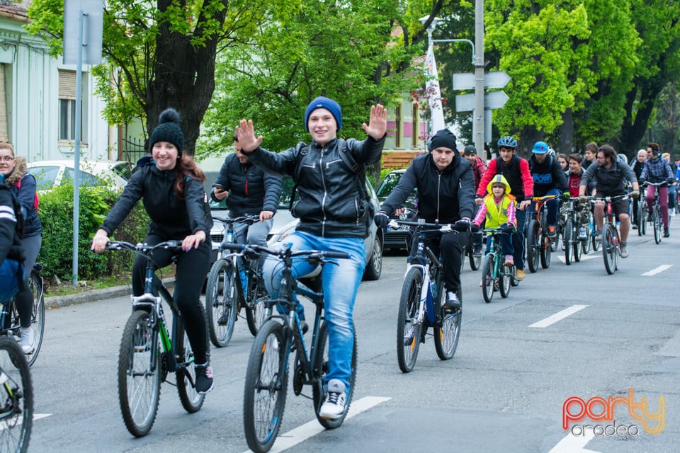 Critical Mass 2017, Oradea