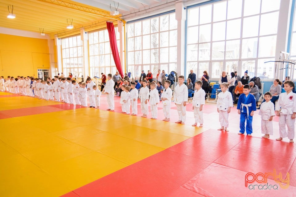 Demonstratia micilor Judoka, Liceul cu Program Sportiv