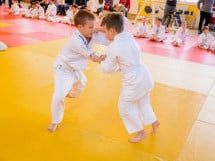 Demonstratia micilor Judoka