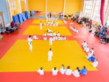 Demonstratia micilor Judoka