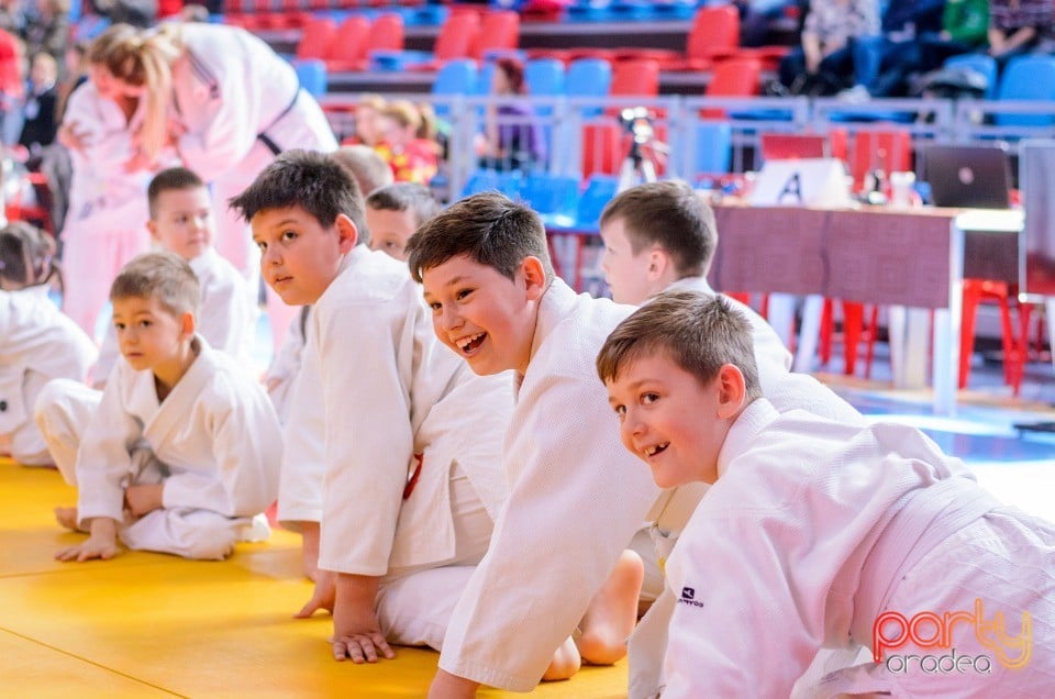 Demonstratia micilor Judoka, Arena Antonio Alexe