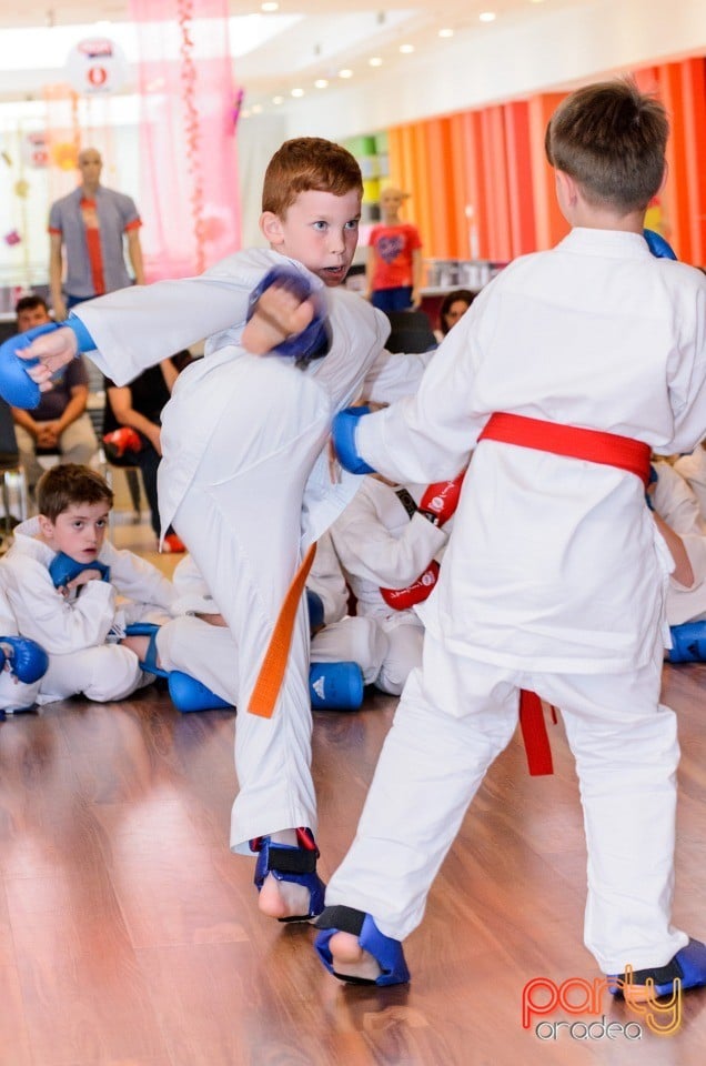 Demonstrativ Karate, 