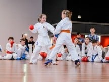 Demonstrativ Karate