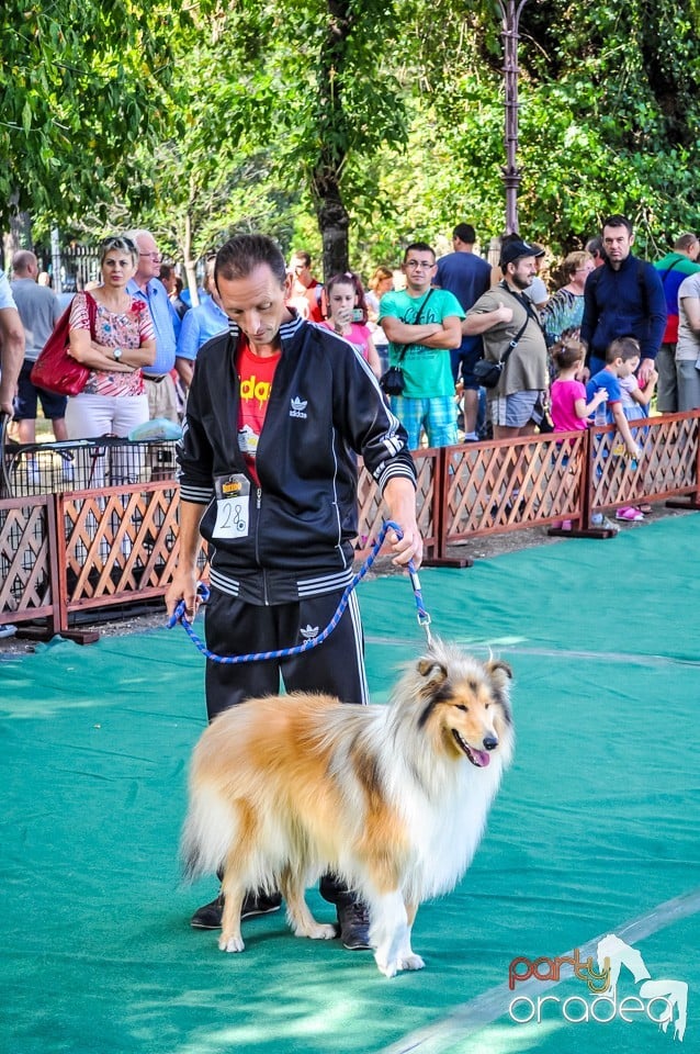Expozitie canina, Oradea