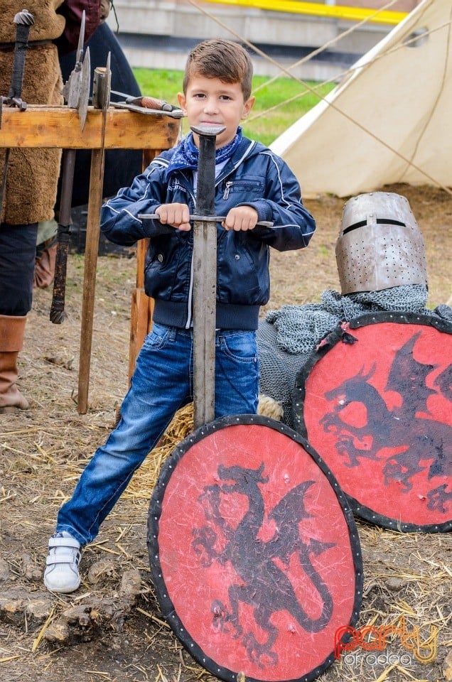 Expoziţie de arme şi armuri, Cetatea Oradea