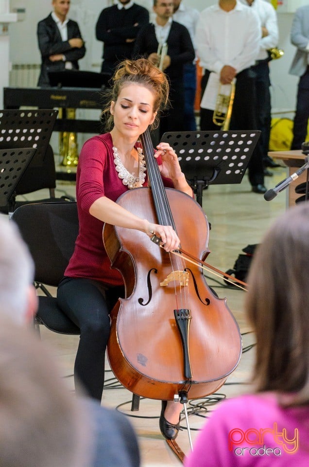 Festivalul Artelor Studenţeşti Vivat Academia, Universitatea din Oradea