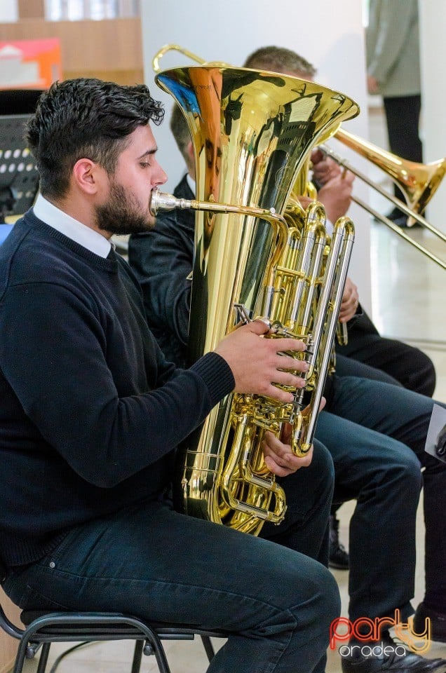 Festivalul Artelor Studenţeşti Vivat Academia, Universitatea din Oradea