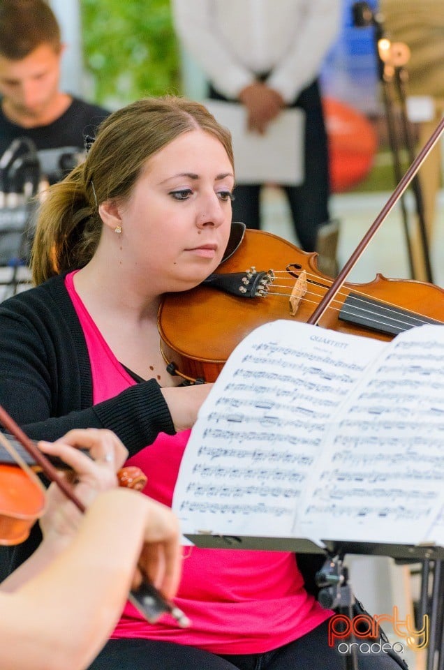 Festivalul Artelor Studenţeşti Vivat Academia, Universitatea din Oradea