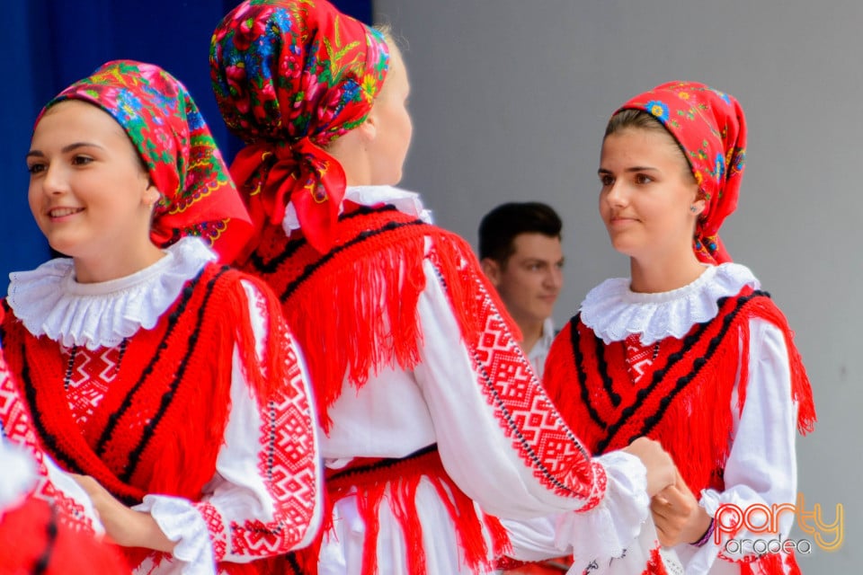 Festivalul Mustului, Oradea