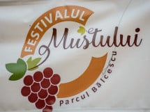 Festivalul Mustului