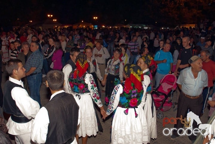 Festivalul vinului şi Târgul pălincarilor - ziua 2, 