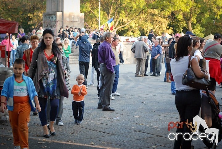 Festivalul vinului şi Târgul pălincarilor, 