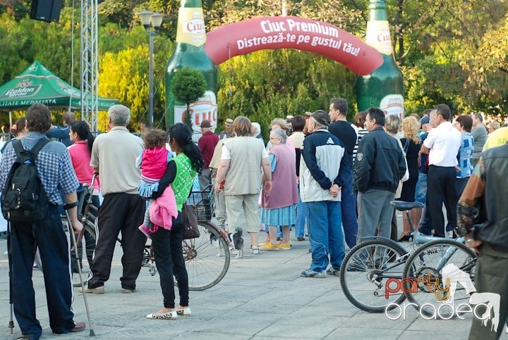 Festivalul vinului şi Târgul pălincarilor, 