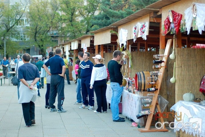 Festivalul vinului şi Târgul pălincarilor, 