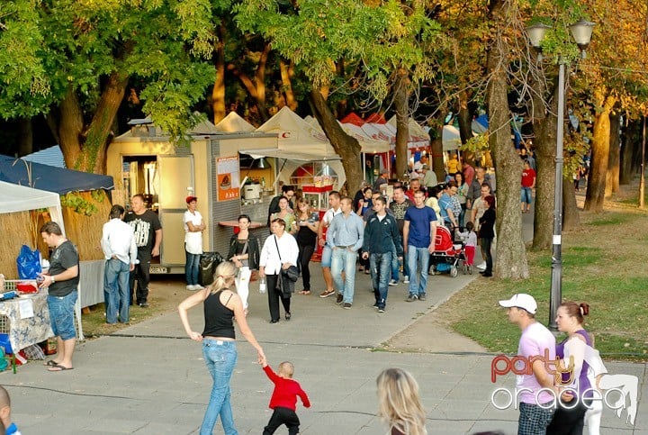 Festivalul vinului şi Târgul pălincarilor, 