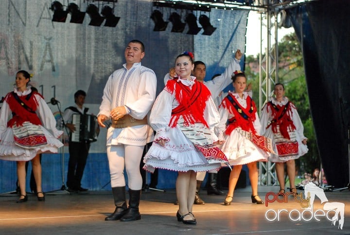 Festivalul vinului şi Târgul pălincarilor, 