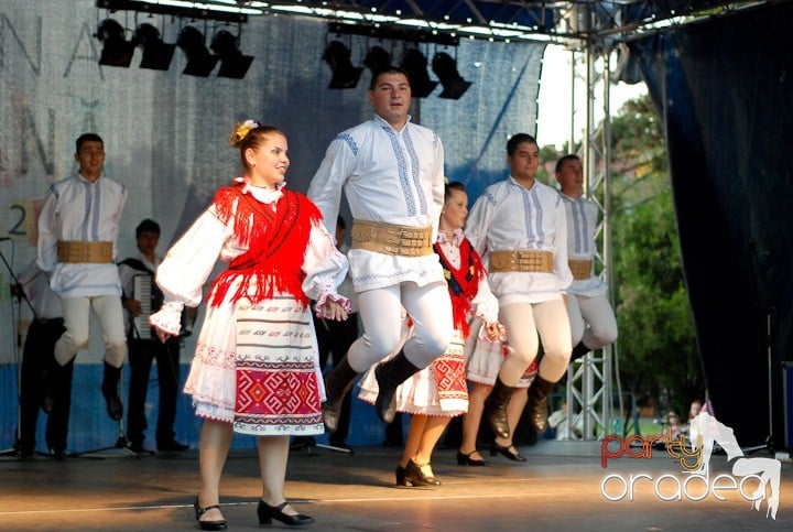 Festivalul vinului şi Târgul pălincarilor, 