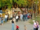 Festivalul vinului şi Târgul pălincarilor