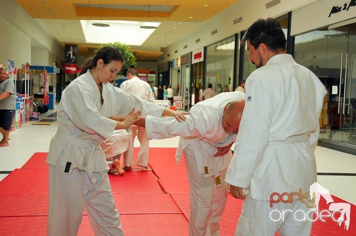 Lecţie de Aikido în Era Park, Era Shopping Park