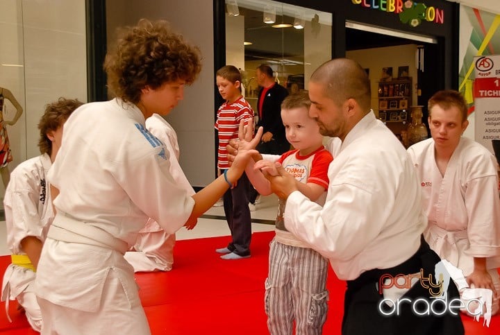 Lecţie de Aikido în Era Shopping Park, Era Shopping Park