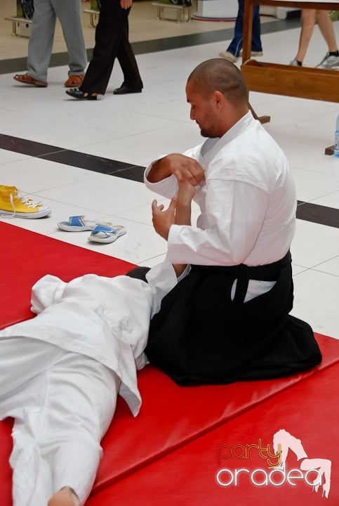 Lecţie de Aikido în Era Shopping Park, Era Shopping Park