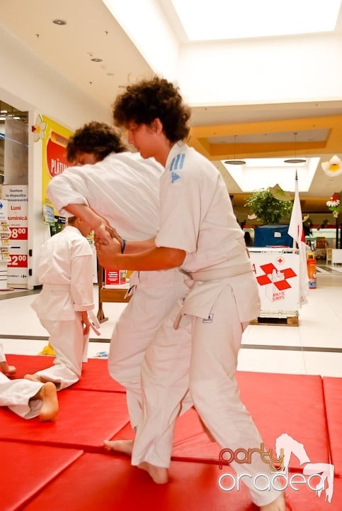 Lecţie de Aikido în Era Shopping Park, Era Shopping Park