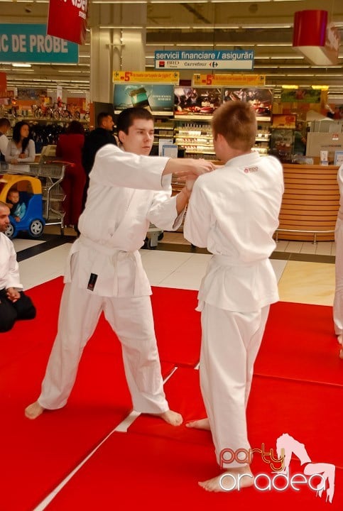 Lecţie de Aikido în Era Shopping Park, Era Shopping Park