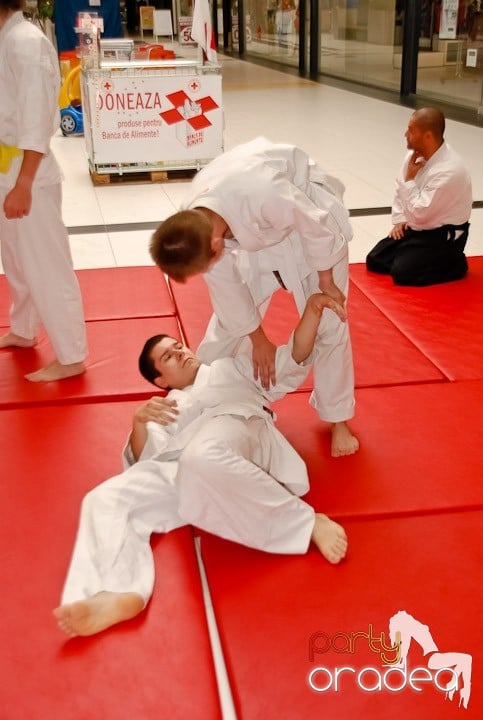 Lecţie de Aikido în Era Shopping Park, Era Shopping Park