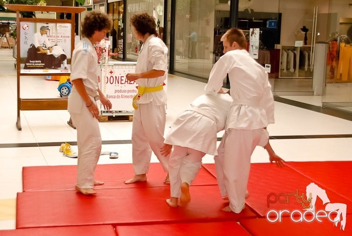 Lecţie de Aikido în Era Shopping Park, Era Shopping Park