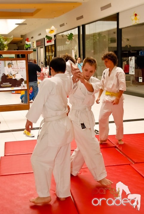 Lecţie de Aikido în Era Shopping Park, Era Shopping Park