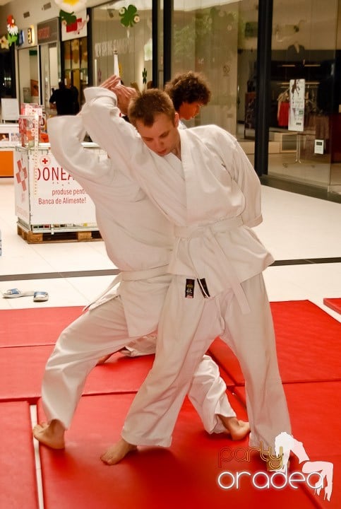 Lecţie de Aikido în Era Shopping Park, Era Shopping Park