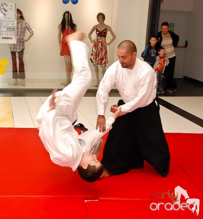 Lecţie de Aikido în Era Shopping Park, Era Shopping Park