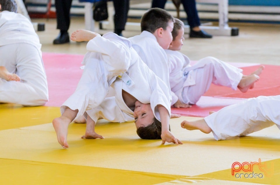 Micii judoka la Examen de Mon, Liceul cu Program Sportiv