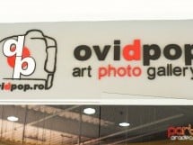 Ovidpop Art Photo Gallery