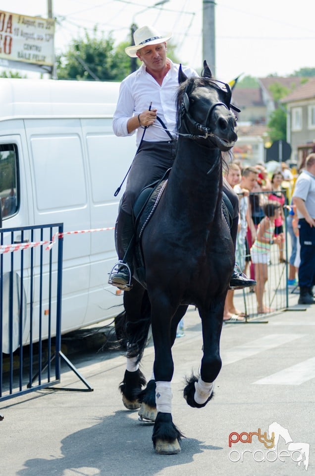 Parada la Campionatul European de Rodeo, Băile Felix