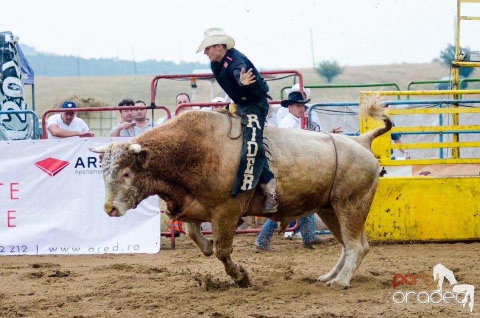 Campionat European de Rodeo, Băile Felix