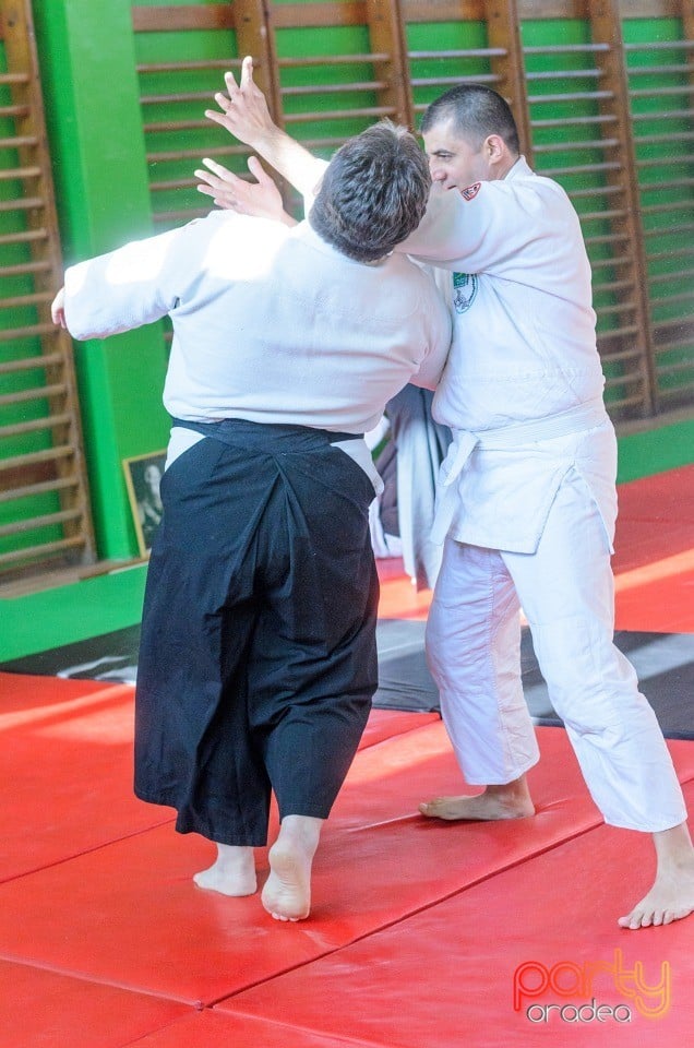 Stagiu Aikido, Oradea