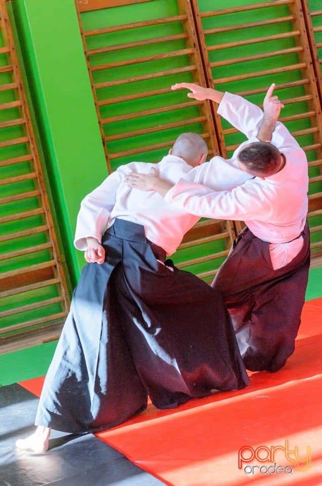 Stagiu Aikido, Oradea