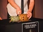 Stand up Magic 2 în Republic Cafe