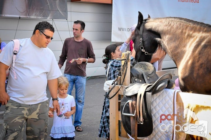 Târg de şcoală şi festival de şah, Era Shopping Park