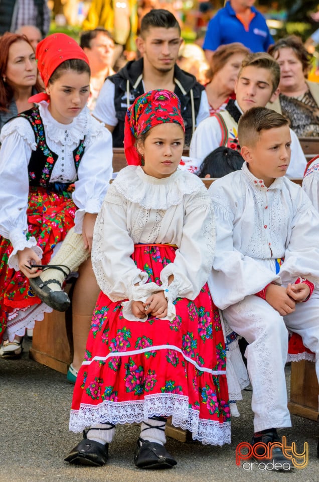 Târgul Pălincarilor, Oradea