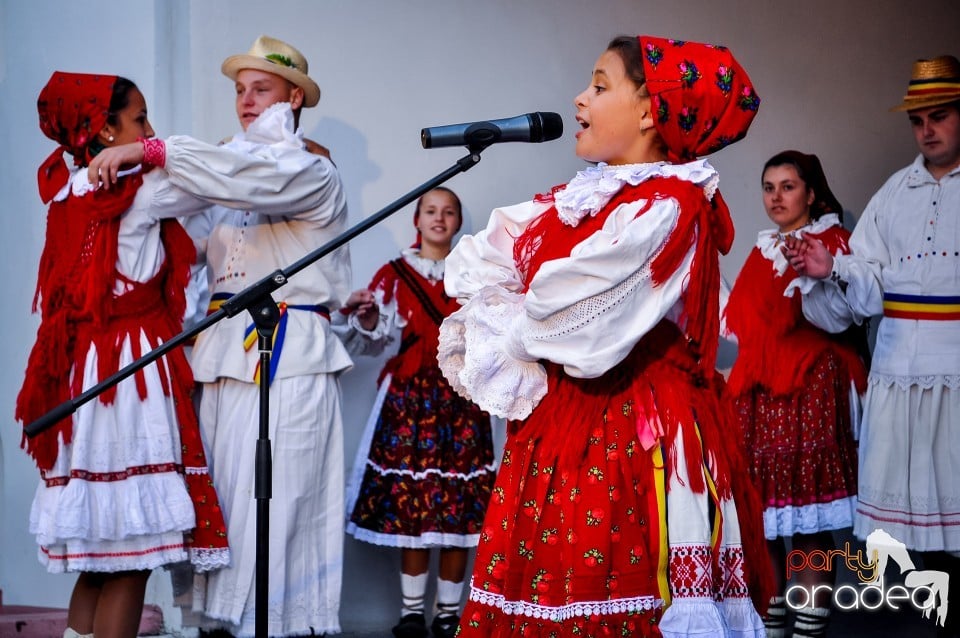 Targul Palincarilor, Oradea